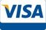 Visa Credit Card logo